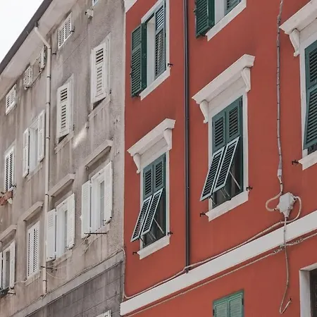 Fibra & Netflix - Largo Barriera Elegant