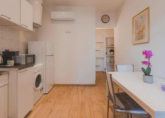 Fibra & Netflix - Largo Barriera Elegant Apartament